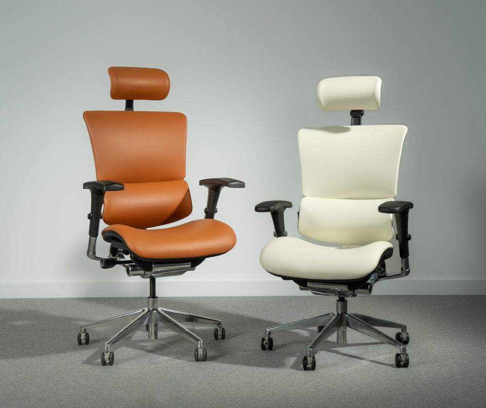 Ergonomic Office Chair Smart Deluxe