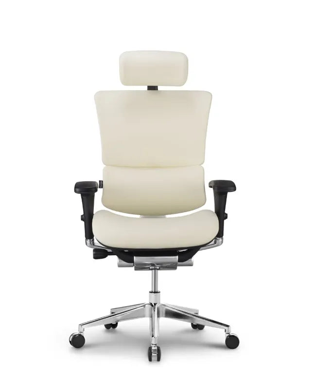 Ergonomic Office Chair Smart Deluxe