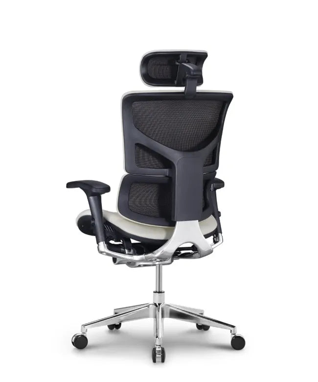 Ergonomic Office Chair Smart Deluxe