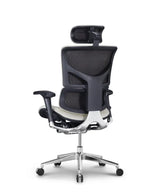 Ergonomic Office Chair Smart Deluxe