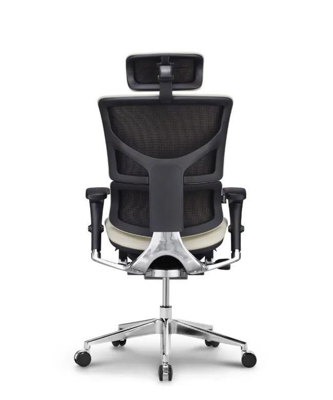 Ergonomic Office Chair Smart Deluxe