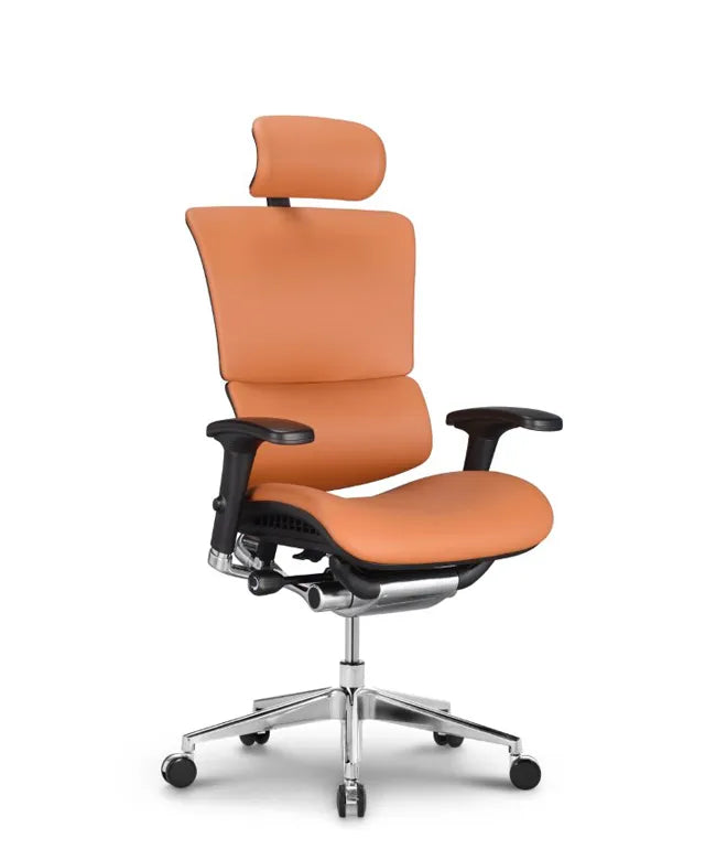 Ergonomic Office Chair Smart Deluxe