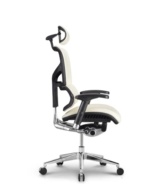 Ergonomic Office Chair Smart Deluxe