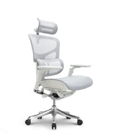 Ergonomic Office Chair Smart Plus PRO