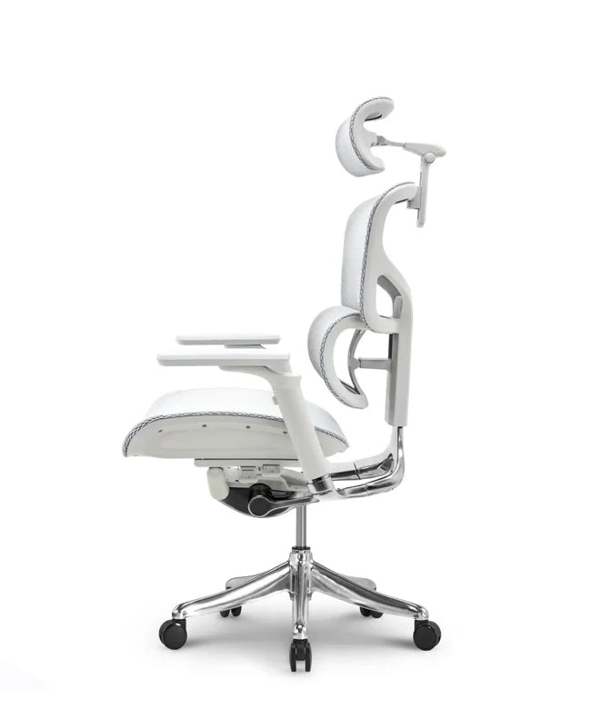 Ergonomic Office Chair Smart Plus PRO
