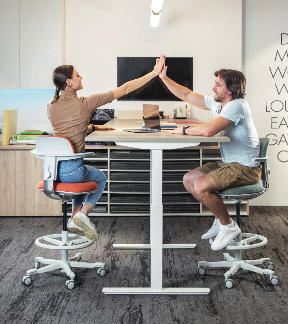 Ergonomic Office Chair Spring