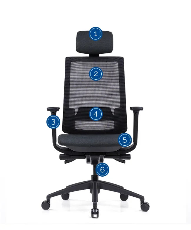 Ergonomic Office Chair Expert